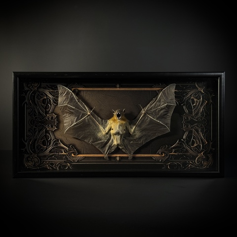 Летучая мышь