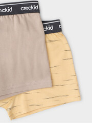набор трусы/ уп  для мальчика  К 1967-2уп/светлая мимоза,темно-бежевый Ал