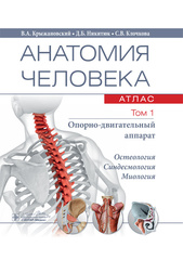 Анатомия человека. Атлас в 3-х томах. Том 1. Опорно-двигательный аппарат (Крыжановский В.А., Никитюк Д.Б., Клочкова С.В.)