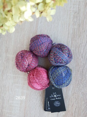Crazy Perlen 2639 Schoppel