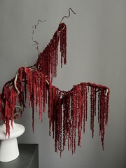 Амарант стабилизированный красный