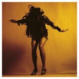 LAST SHADOW PUPPETS, THE: Everything Tome To Expect (Виниловая пластинка)