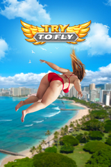 Try to Fly (для ПК, цифровой код доступа)