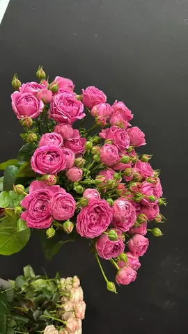 Букет из кустовой пионовидной розы