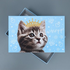 Коробка одиночная, Прямоугольник, «Яркий», 14*8*4,5см, 1 шт.