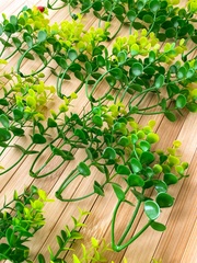 Набор травяных веточек брусничника, искусственные, 11 см, набор 30 шт.