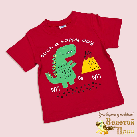 Футболка хлопок м (2-4) 260420-Y713