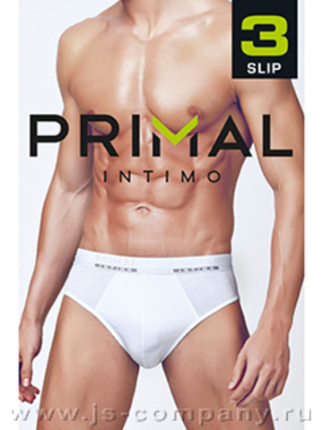 Комплект мужских трусов S1201 Slip (3 пары) Primal