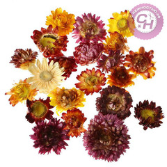 Сухоцветы МИНИ для эпоксидной смолы - Цветы Бессмертника, 2-5 см, набор 15 г.