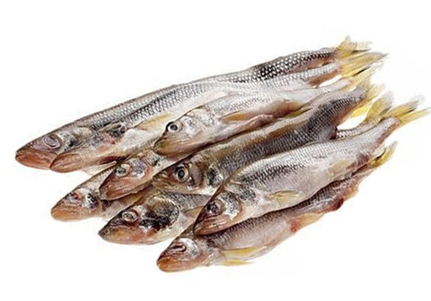 Корюшка Зубатка замороженная~1кг