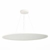 Светильник подвесной ST Luce ST602.543.120