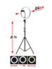 Кольцевая LED-лампа (диаметр 26 см) с двумя штативами и селфи-пультом