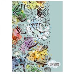 
          Ежедневник недатированный, А5, Апплика, 7БЦ, глянц. ламинация, мелован. картон, 128 л, "Ракушки"