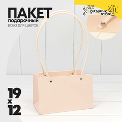 
          Пакет подарочный 19х12х10.5см Ваза для цветов (Персиковый)