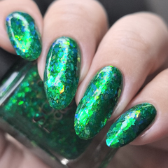 Never Go Into The Woods (LE)