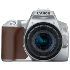 Зеркальный фотоаппарат Canon EOS 250D Kit EF-S 18-55mm f/4.0-5.6 IS STM Серебристый
