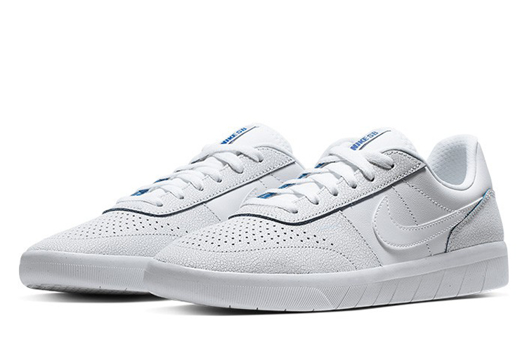 Nike Sb Team Classic Premium Hyper Sneakers