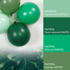 К512 12''/30 см, Пастель, Темно-зеленый (S56), 100 шт.