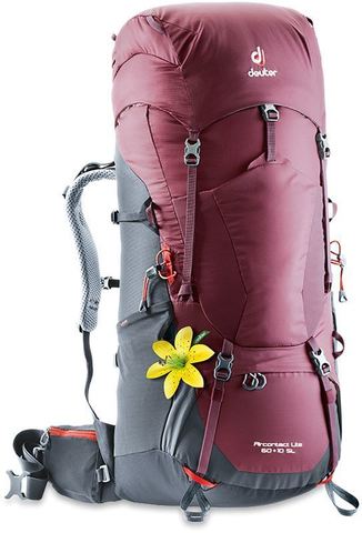 Картинка рюкзак туристический Deuter Aircontact Lite 60+10 SL Maron-Graphite - 1