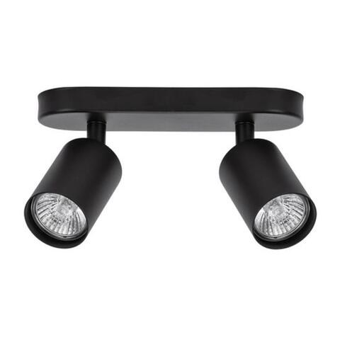 Настенно-потолочный светильник Arte Lamp AQUARIUS A3226PL-2BK