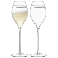 Набор из 2 бокалов для шампанского 