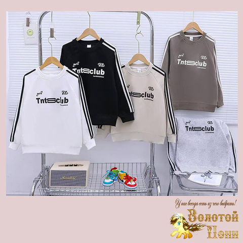 Свитшот хлопок м (7-12) 250824-G6149
