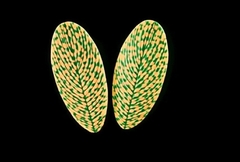 Силиконовый молд 