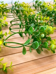 Набор травяных веточек брусничника, искусственные, 11 см, набор 30 шт.