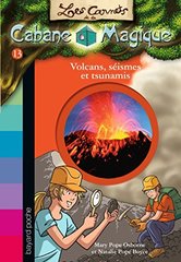 Les carnets de la cabane magique Tome 13