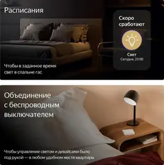 Умное реле YNDX-00538, двухканальное, Zigbee, работает с Алисой