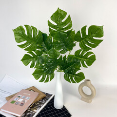 Монстера, листья на ветке, зеленая, ветка, 55 см, набор 3 ветки