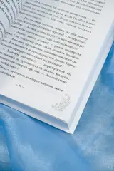 Зеркальные города-близнецы. Книга 1