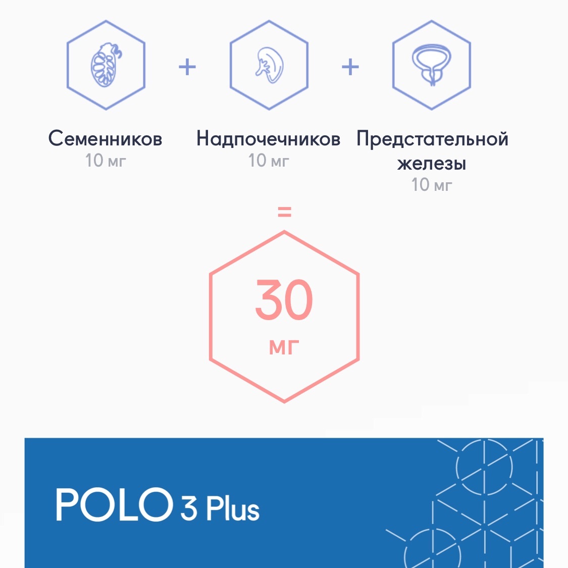 POLO 3 Plus® №20, пептиды Хавинсона от Витуаль. Аналог тестагена и Либидона