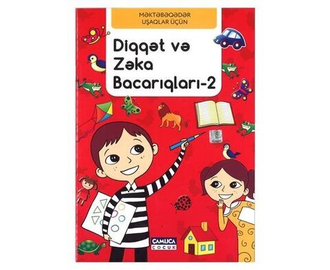 Diqqət və zəka bacarıqları -2