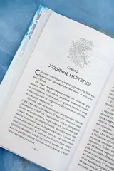 Зеркальные города-близнецы. Книга 1
