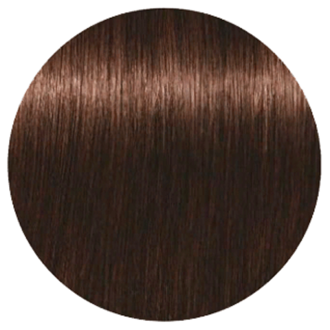 Schwarzkopf Igora Absolutes 4-50 (Средний коричневый золотистый натуральный) - Стойкая крем-краска для окрашивания зрелых волос