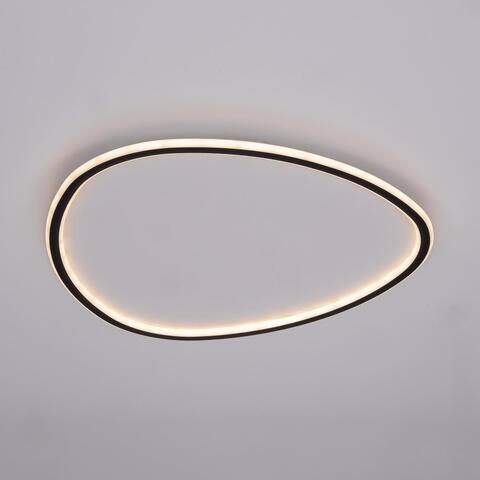 Потолочный светодиодный светильник Citilux Тrio CL215B261E