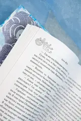 Зеркальные города-близнецы. Книга 1