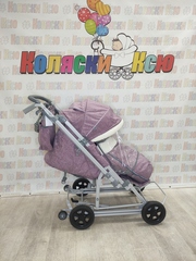 Санки-коляски Ника Детям 8-3Н Вересковый