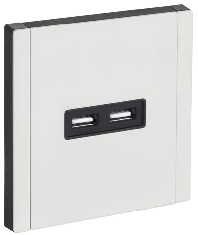 FORTE&PIANO Роз. USB A+A 3,1А FP249M бел. IEK