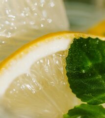 Dilis Collection MONO Духи д/жен  #2 CITRUS - BASIL  (755) 25мл