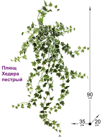 Искусственное растение Плющ Хедера пестрый 90см