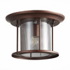 Светильник уличный потолочный ST Luce Lastero SL080.402.01