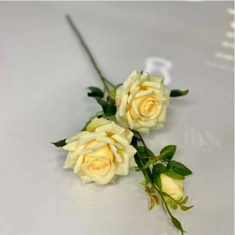 Роза евро 4 (Персиковый)