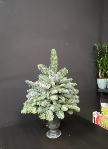 Настольная композиция Ёлка