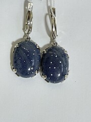 Неми-коралл (серьги из серебра)