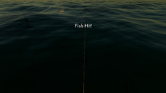 Fishing: North Atlantic - Enhanced Edition (для ПК, цифровой код доступа)