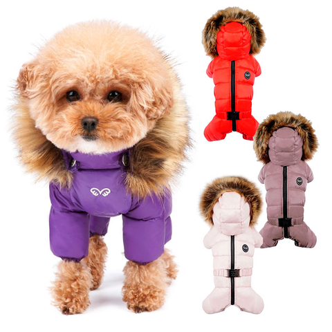 519 PA-OW Комбинезон для девочки