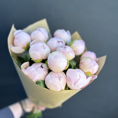 Пионы розовые нежные 13 шт