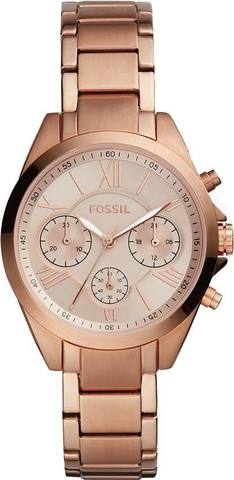 Наручные часы Fossil BQ3036 фото